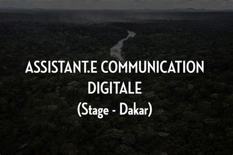 STAGE – ASSISTANT(E) COMMUNICATION DIGITALE (F/H)